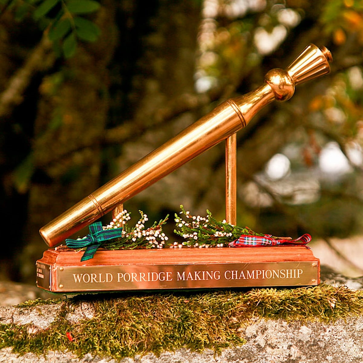 Home Page Golden Spurtle®