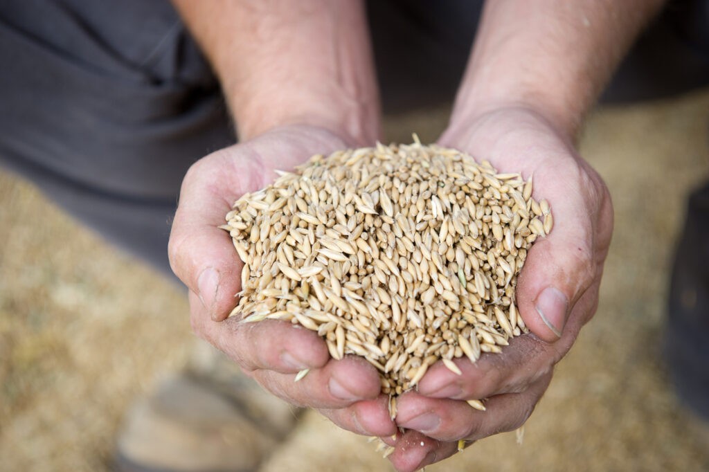 Aprons at the ready for competitors